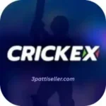 CRICKEX Game