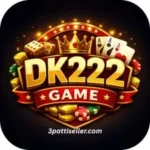 DK222 Game