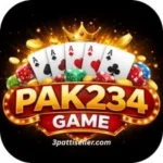 PAK234 Game